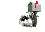 Napisz e-mail